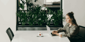 soft skills employers study abroad