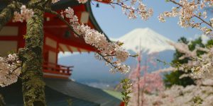 business culture in Japan