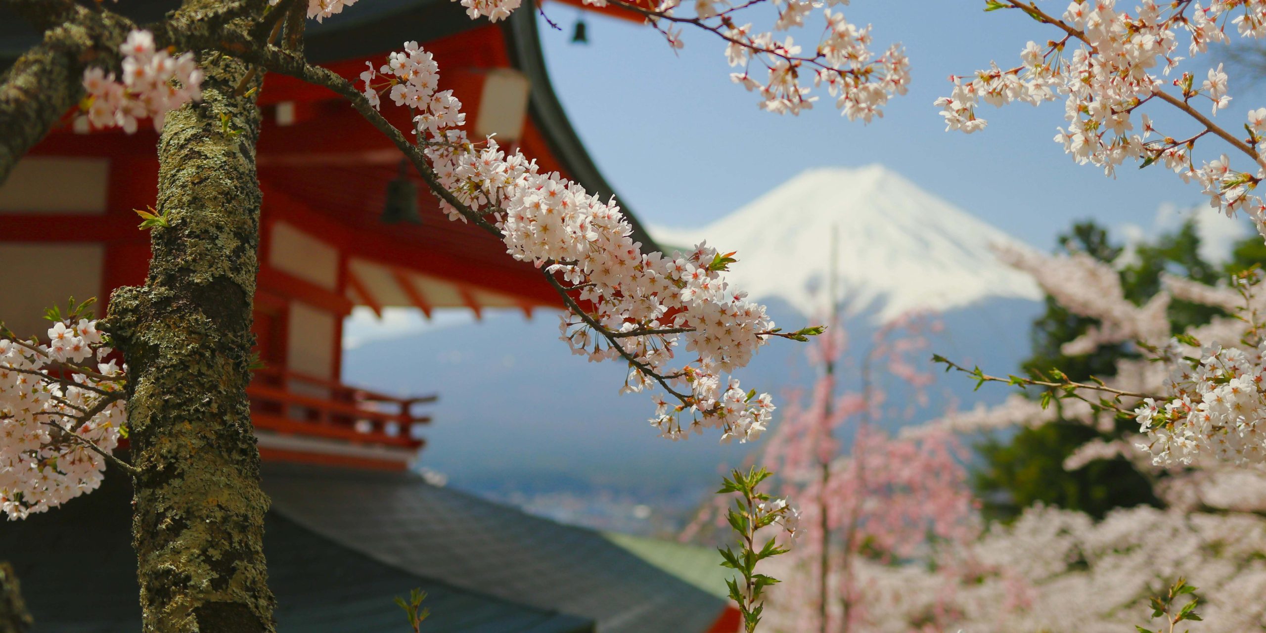 business culture in Japan